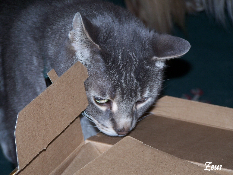 First Night with New Camera