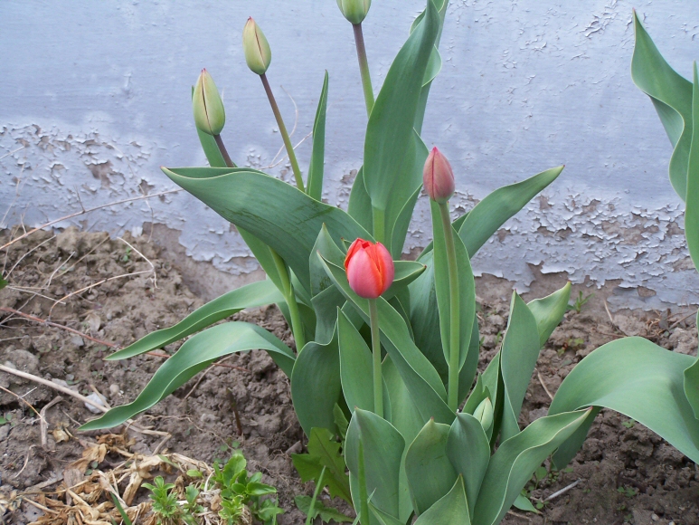 Cold, but still growing!