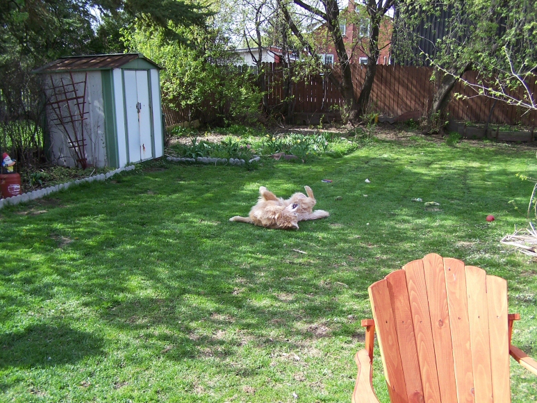 Grass is Cut!