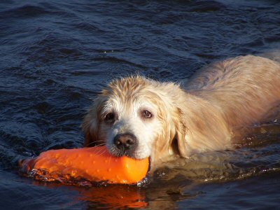 October Swim