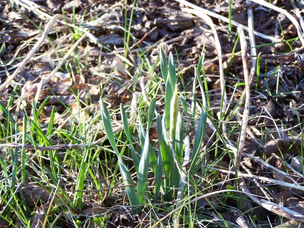 Signs of spring