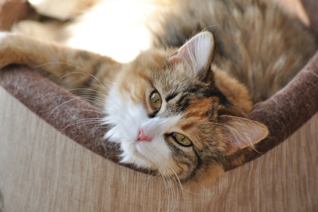 A few photos to tide you over