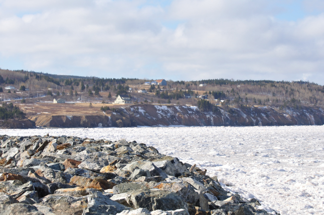 Arisaig, Groceries, Caledonia church again, and Deer everywhere!