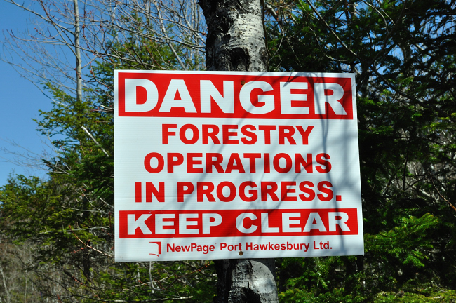 If only you could smell this