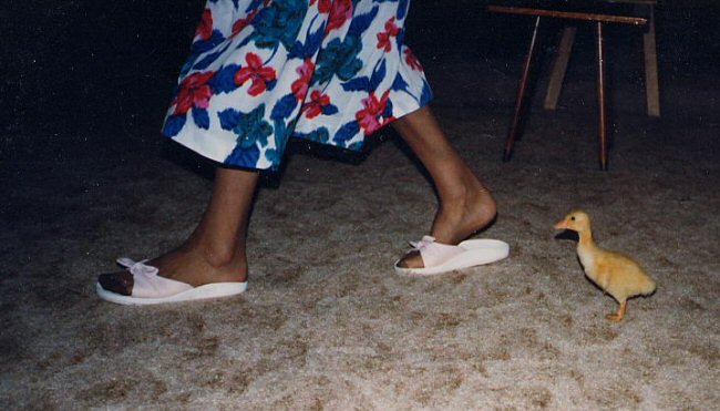 A photo that makes me smile