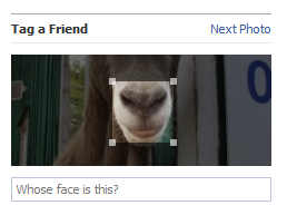 Facebook’s facial recognition might need work
