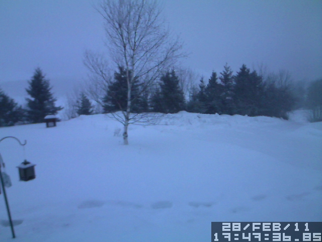 Do you have any idea how exciting it is to live here?