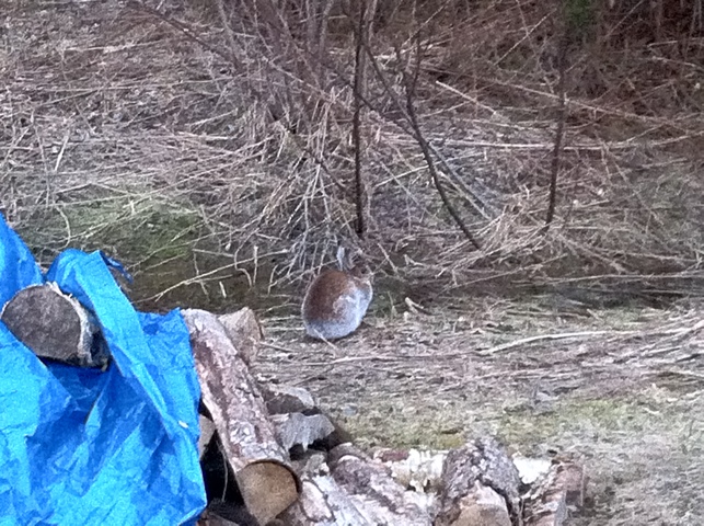 Had a chat with this guy this morning