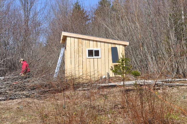 The shed now has WINDOWS!