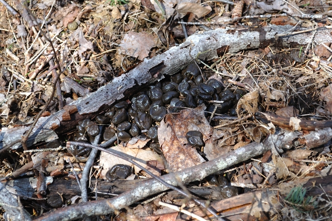 The best part of an internet outage…