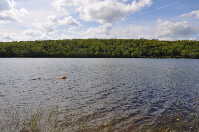 Monty went for another swim, and now we have a Hurricane Irene wind warning