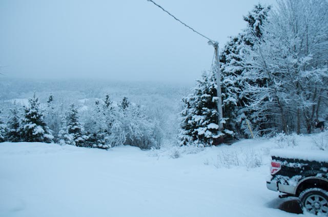 Still winter! Look what was outside when I woke up!