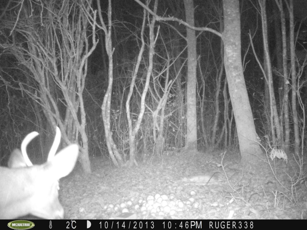 Car is in pieces, obsessive UPS tracking, and we have a buck!