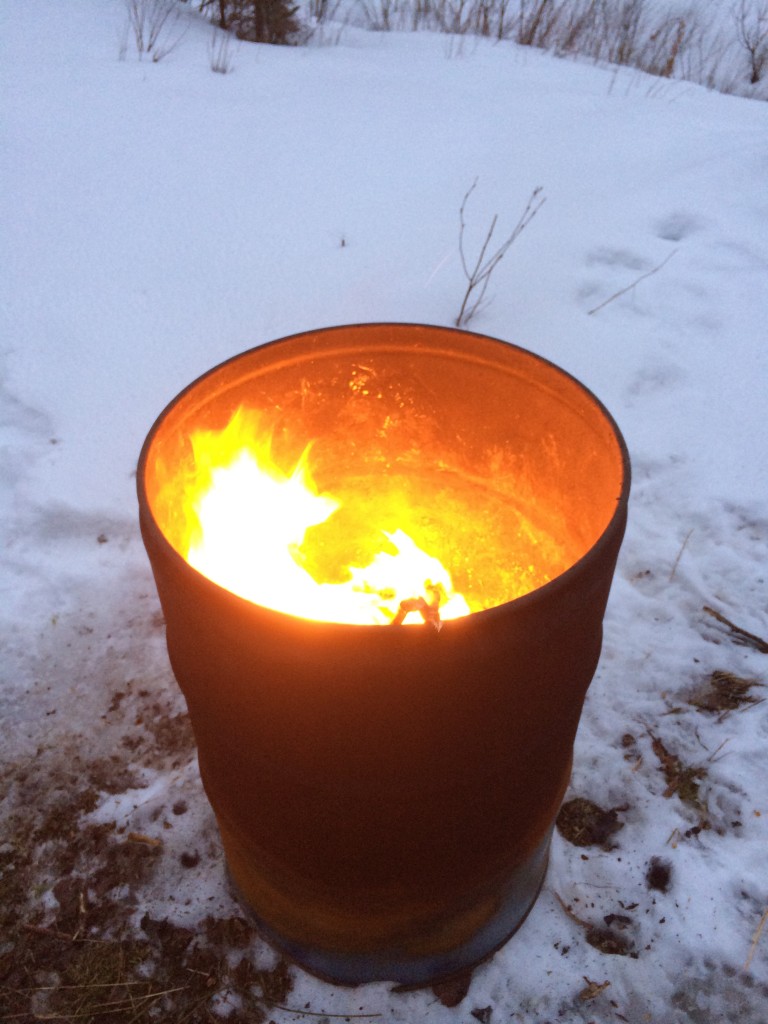 New camera, burned some paper, and a word or two about the crows