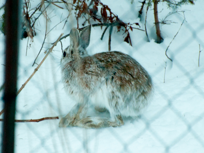 The past week in photos