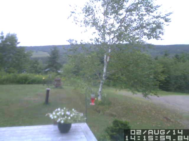 Webcam works!