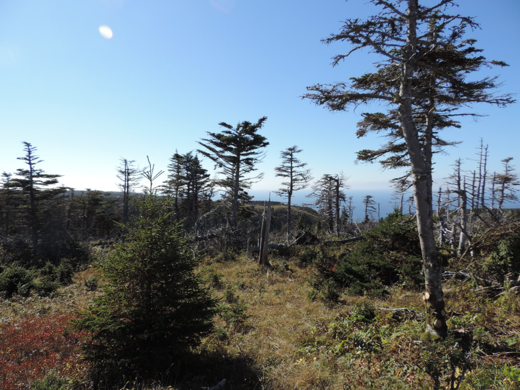 The Skyline Trail