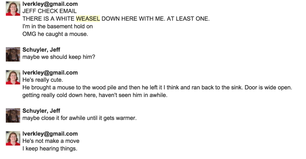 There is a weasel in my house